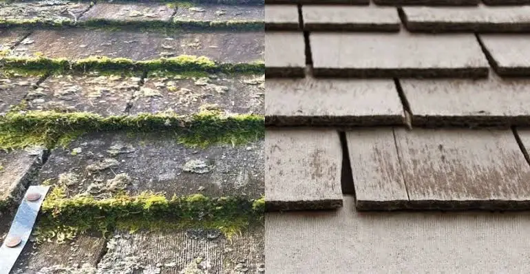 Cedar shakes side by side: moss packed in the keyways beside clean shakes