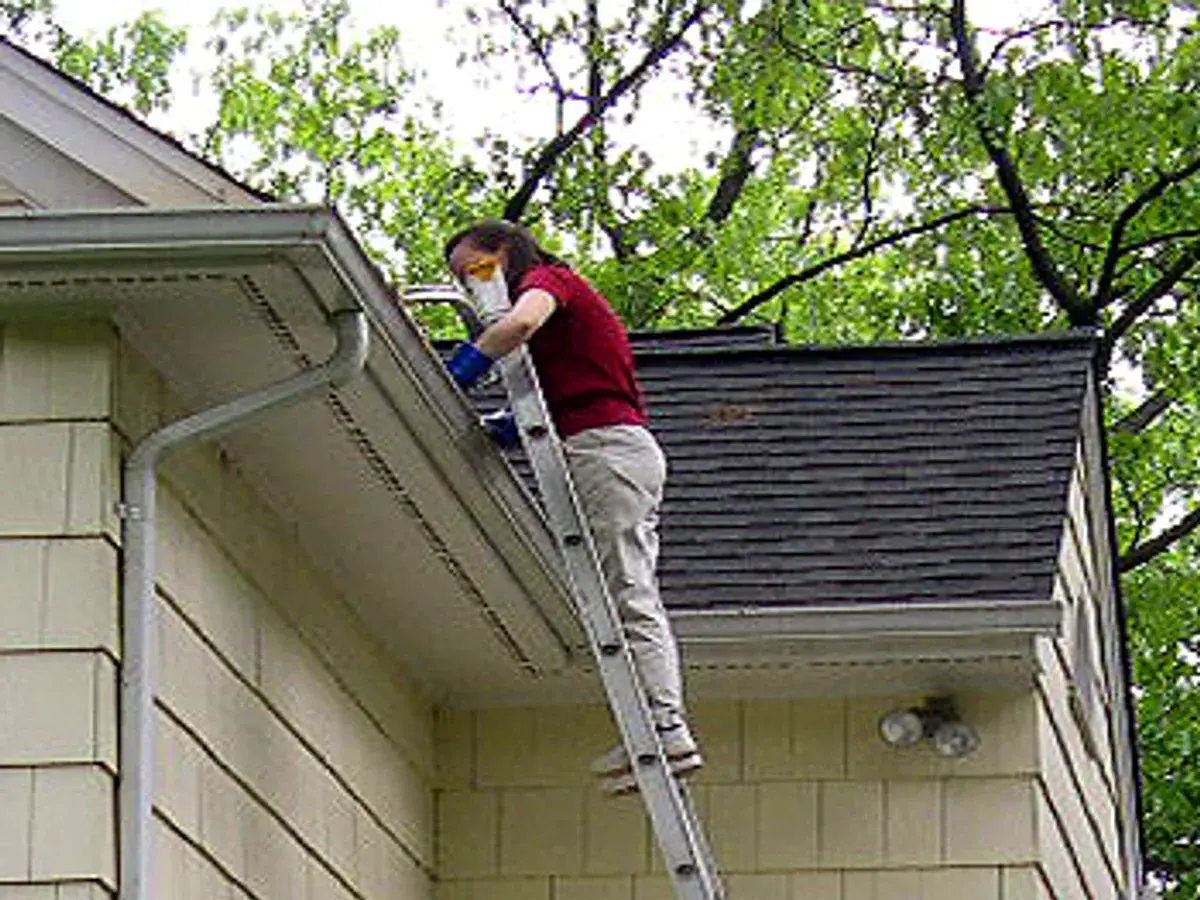 Worker on an extension ladder reaching over the gutter to a shingle roof edge