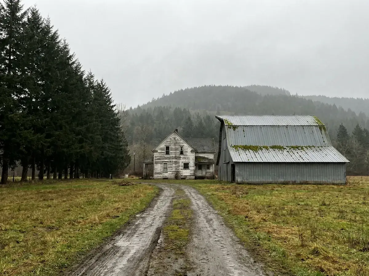 Corrugated metal barn roof with moss along the panel laps and ridge