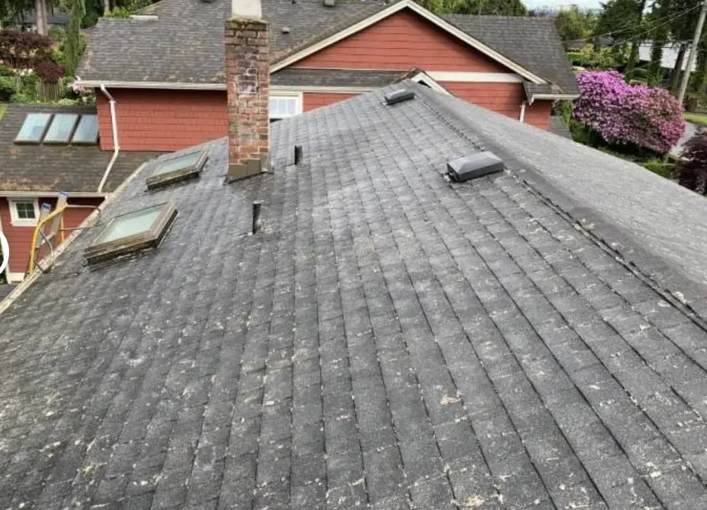 After: clear grey shingles around the skylights and brick chimney, red siding beyond