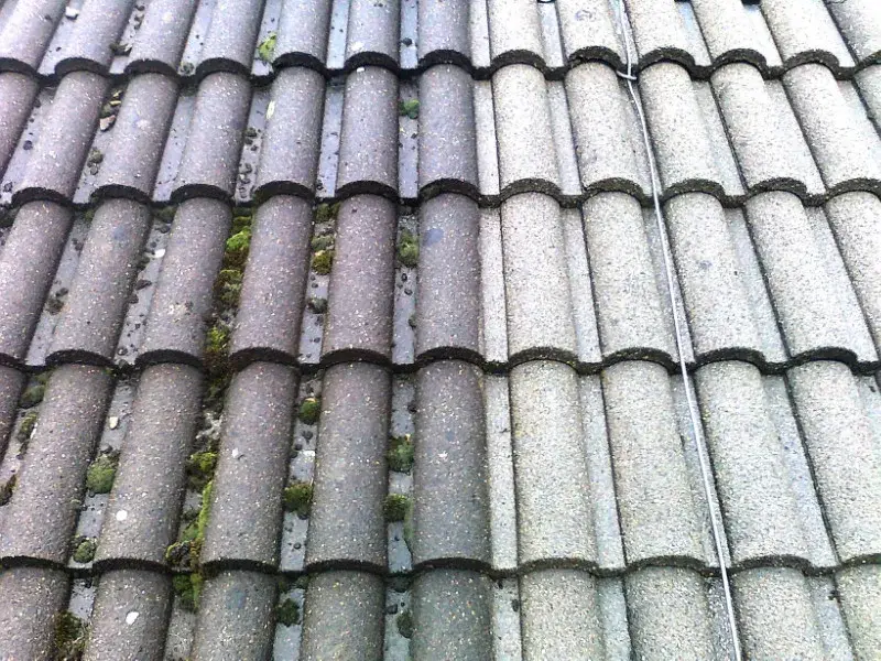 Concrete roof tiles mid-clean, moss in the pans on one side, clear on the other